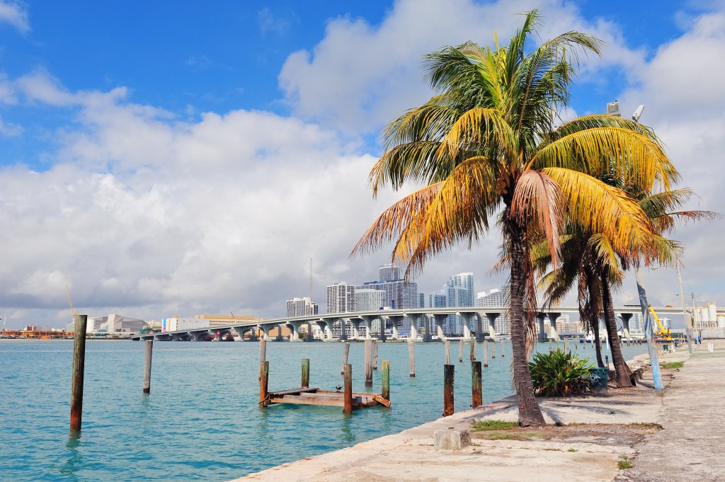 miami city tropical view
